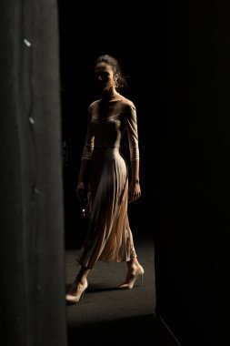 Milan, İtalya - 21 Şubat 2020 'de Milano Kadın Moda Haftası sırasında Budapeşte' den hemen önce sahne arkasında muhteşem bir model poz verdi.