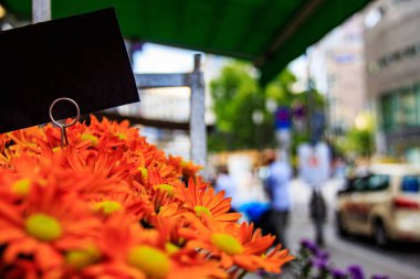 Kentsel Geometri, binalara bakıyorum. Frankfurt, Almanya