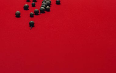 Kırmızı arkaplanda kara biber