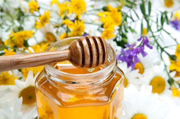 Bodegón de miel fresca y flores — Foto de Stock