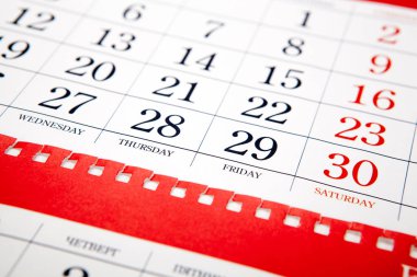 kırmızı duvar takvim yaprak closeup büyük yığın