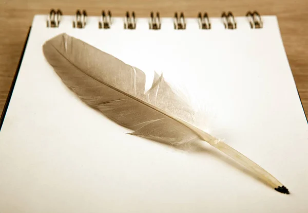 Fågelfjäder i form av en penna på en vit anteckningsbok — Stockfoto