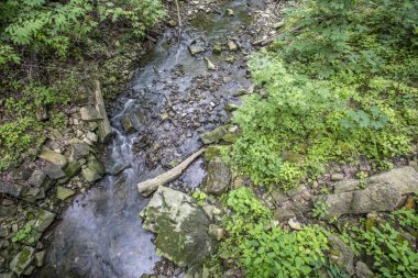 A düz aşağı vurdu Hamilton Ontario Kanada küçük bir dere, seyir.