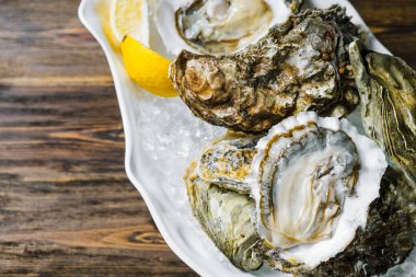 Taze istiridye, limon ve buz tabakta ahşap bir arka planı var..