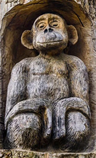 Wunderschöne geschnitzte Affenskulpturen aus Holz, Kunstwerke aus Holz, Zoo- und Gartendekorationen — Stockfoto