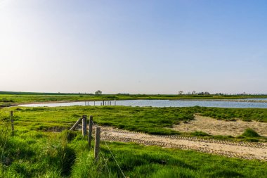 Schakerloopolder in tholen city, Popüler Hollanda Doğa Manzarası Zeeland, Hollanda