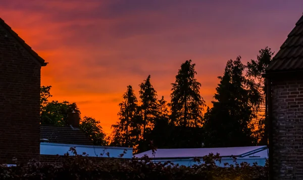 Cielo colorato con alberi durante il tramonto nel piccolo villaggio rustico Rucphen, Paesi Bassi — Foto Stock