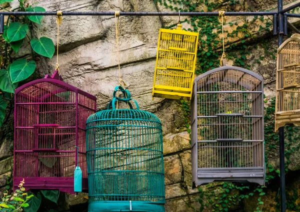 Lege vogelkooien aan een bar, dierenhandel in Azië, achtergrond dierenwinkel — Stockfoto