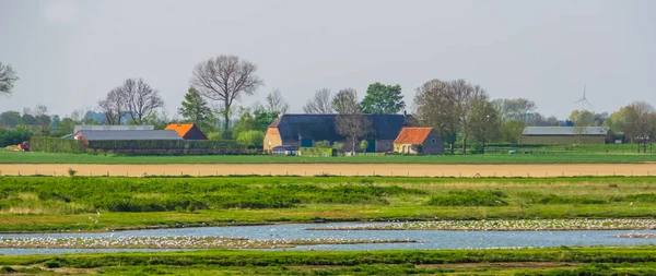 Bauernhaus in der Schakerloopolder von tholen, Landschaft und Naturschutzgebiet, Zeeland, den Niederlanden — Stockfoto