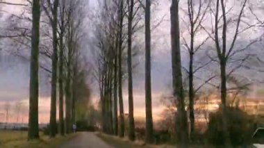 Gün batımında oud Beijerland 'da kırsal bir yolda araba kullanma zamanı, Hollanda kırsal yollarında seyahat, 25 Kasım 2019