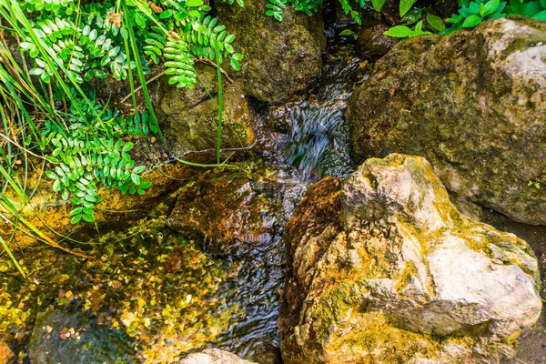 Крупным планом небольшой ручей, струящийся по скалам, природный фон — стоковое фото
