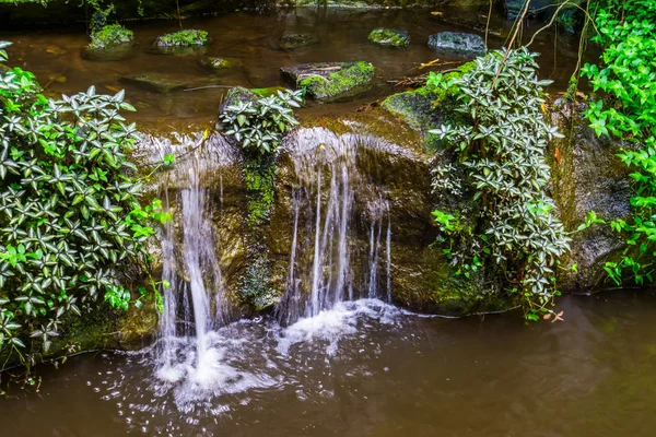 Крошечный водопад в пруду, красивая архитектура сада, природный фон — стоковое фото