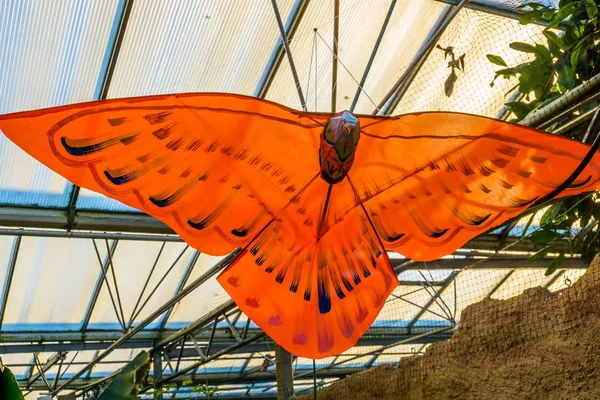Beautiful orange butterfly decoration hanging on the ceiling, creative artworks — 图库照片