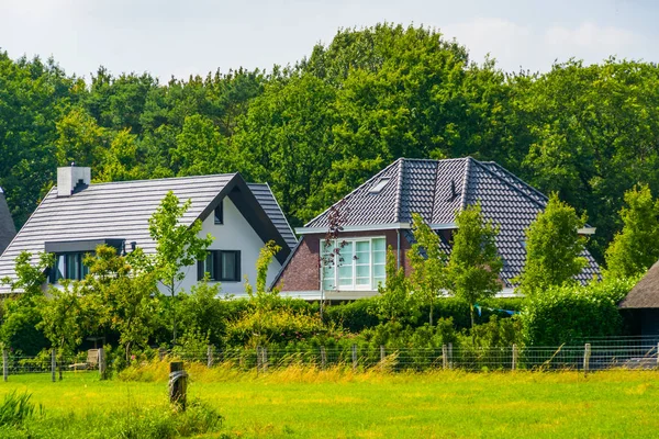 Arquitetura holandesa típica, casas de campo com pastagem de floresta e grama, zoom Bergen op, Países Baixos — Fotografia de Stock