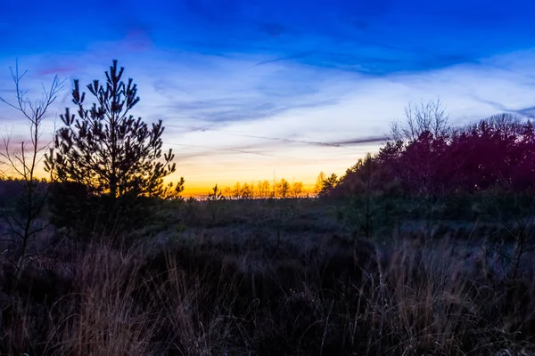 Colorato e bellissimo tramonto sul Rucphense heide, paesaggio Heather nella foresta di Rucphen, Paesi Bassi — Foto Stock