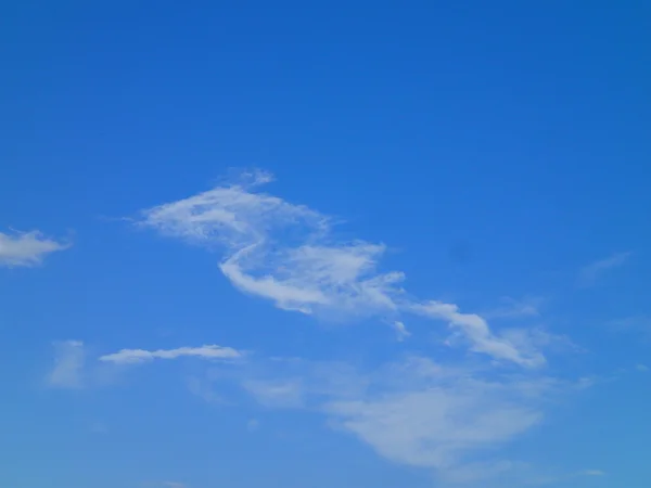 Cloud dragon på sky — Stockfoto