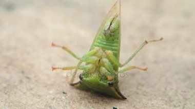 Ayak üzerinde açmak için çalışırken hata 