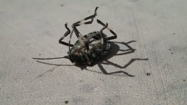 Ayakları üzerinde açmak için çalışırken hata