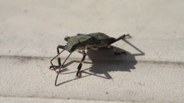 Onun vücut kaldırma hata