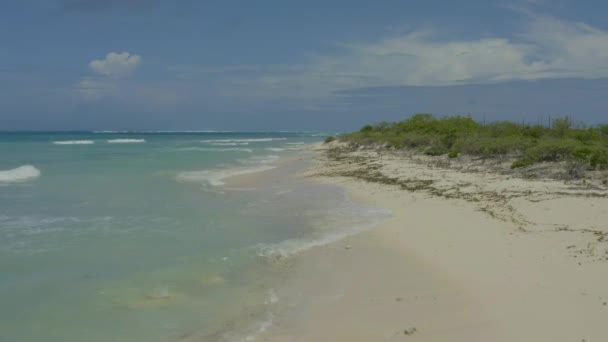 Karayipler Grand Turk Sahilinde Uçuyor — Stok video