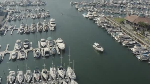 Vista Drone Iates Veleiros Marina Del Rey Califórnia — Vídeo de Stock