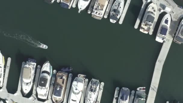 Aerial View Yachts Sailboats Docked Marina Los Angeles California — Stockvideo