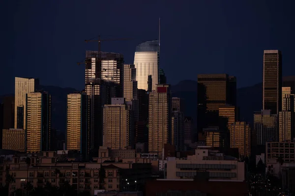 Close up view of Los Angeles highrises in an evening light — 스톡 사진