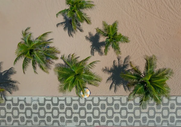 Vista Aérea Famoso Mosaico Calçada Copacabana Com Palmeiras Praia — Fotografia de Stock