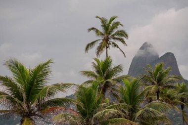 Rio de Janeiro Brezilya sahilinde palmiye ağaçlarıyla Dois Irmaos 'un ikonik manzarası