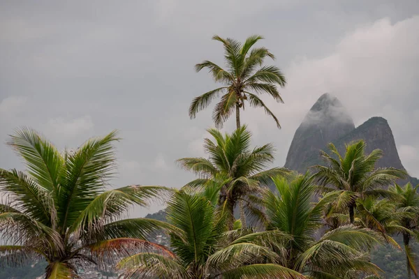 Iconic View Dois Irmaos Palm Trees Beach Rio Janeiro Brazil — Stock Photo, Image