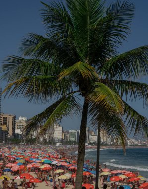 Rio de Janeiro 'daki Leblon plajı insanlarla dolu.