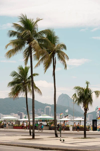 Palmer Trottoaren Copacabana Stranden Rio Janeiro Brasilien — Stockfoto