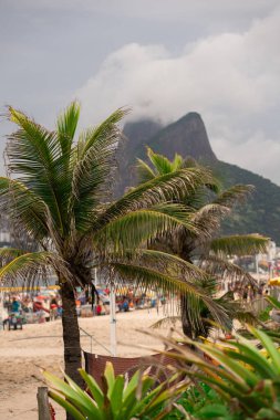 Sahilde insanlarla dolu palmiye ağaçları.