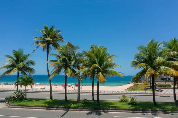 Palmeras Calle Cerca Playa Leblon Río Janeiro — Foto de Stock