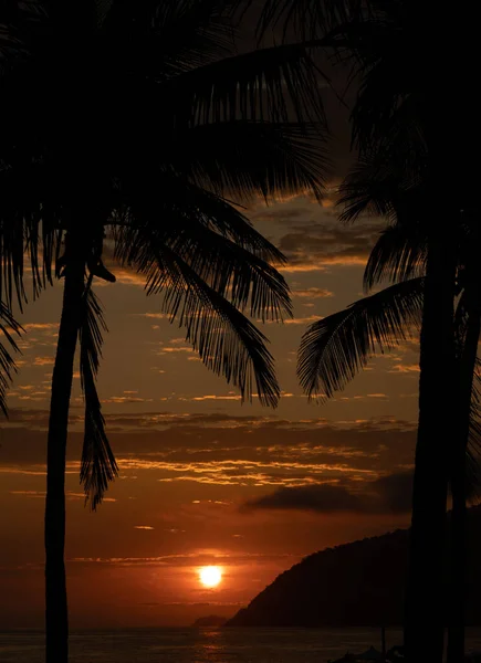 Silhouettes Palmiers Coucher Soleil Sur Plage Rio Janeiro — Photo