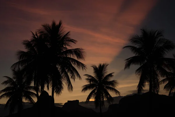 Silhouettes Palmiers Lors Coucher Soleil Coloré Sur Dois Irmaos Rio — Photo