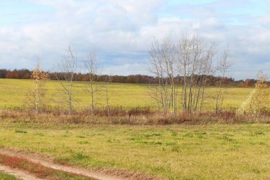 Virajlı köy yolu tarlaya doğru uzanıyor. Sıcak, güneşli bir gün. Orta mesafede ağaçlar ve arka planda ormanlar olan sonbahar manzarası.
