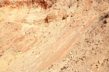 Kuma yakın çekim. Doku. Doğadaki desenler.