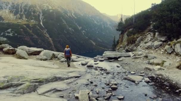 Девушка Путешественница Наслаждается Видом Горный Водопад Горы Стоящие Краю Скалы Стоковый Видеоролик