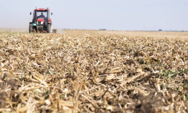 Tarlada çalışan traktör. 