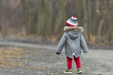 Küçük bir çocuk ormanda yürüyor. 
