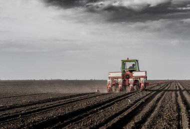Baharda tarım tarlalarına mahsul ekiyorum.