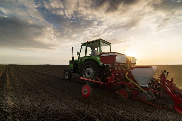 Cultivos de siembra en campos agrícolas en primavera — Foto de Stock