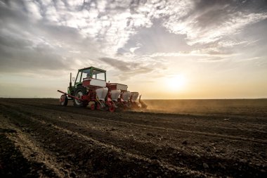 Baharda tarım tarlalarına mahsul ekiyorum.
