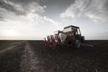 Baharda tarım tarlalarına mahsul ekiyorum.