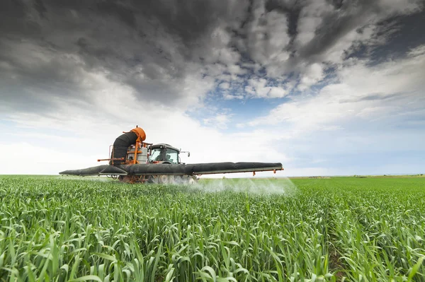 Tractor spraying wheat in field — Stock Photo, Image