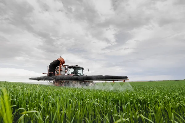 Traktor penyemprotan gandum di lapangan — Stok Foto