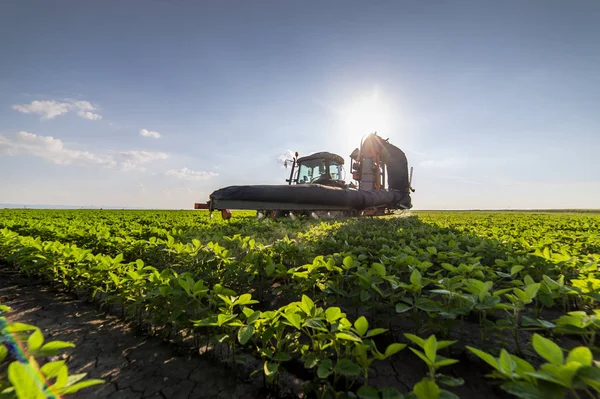 Spraying pesticides at soy bean fields — 스톡 사진