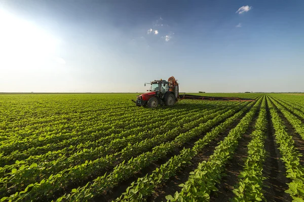 Spraying pesticides at soy bean fields — 스톡 사진
