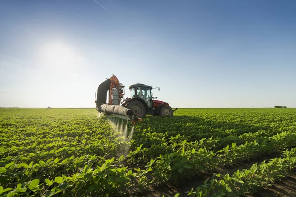 Spraying pesticides at soy bean fields — 스톡 사진